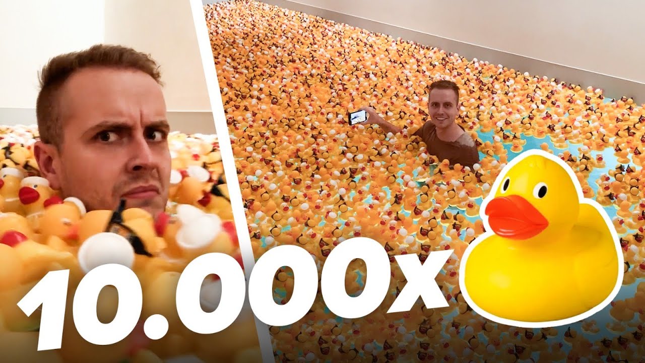 10 000 Enten in unseren Pool 🐤