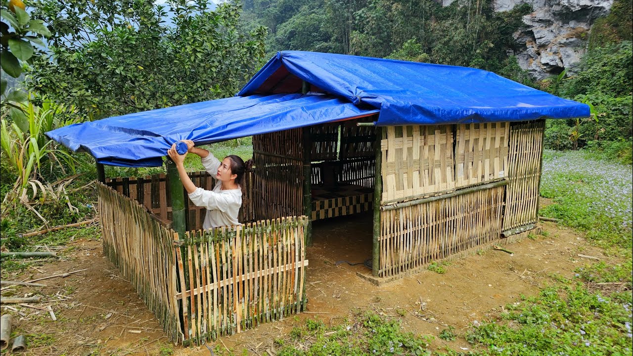 Building a new home in the wilderness: starting a new life from scratch.