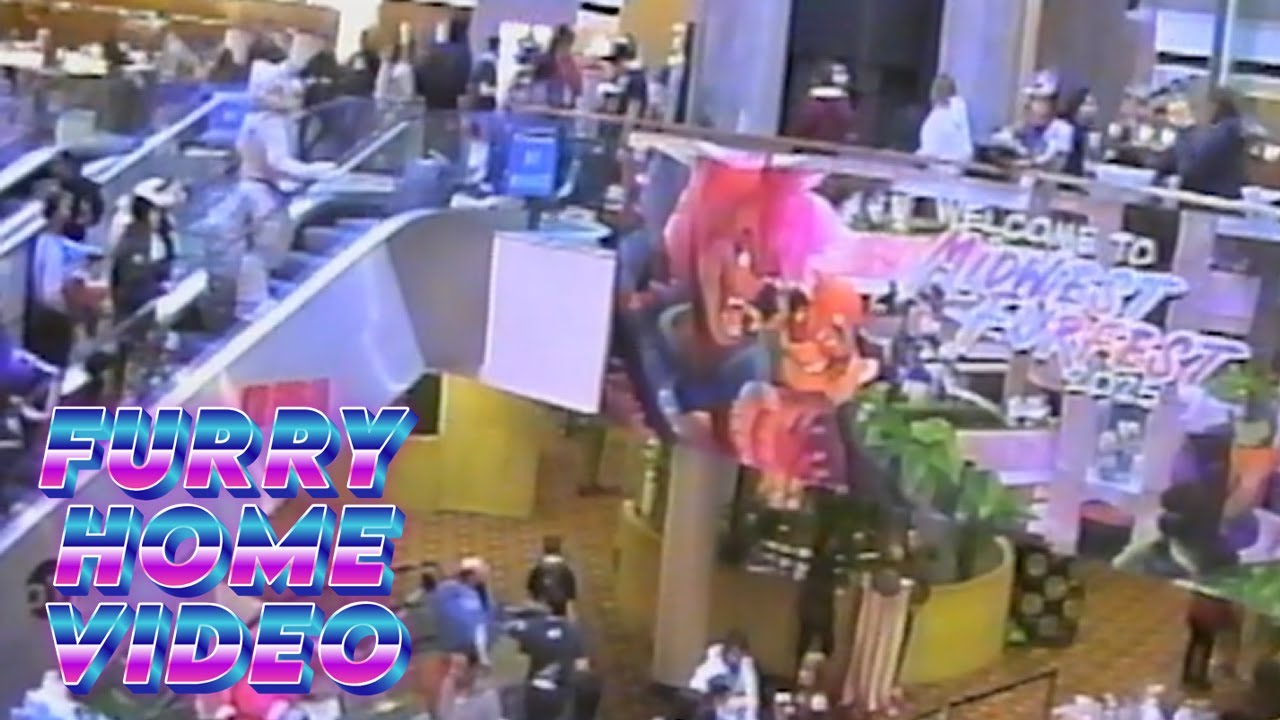 Midwest Fur Fest 2025 Con Recap! - Furry Home Video