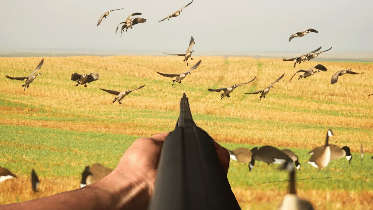 SD Early Goose Hunt!! (GONE WRONG)