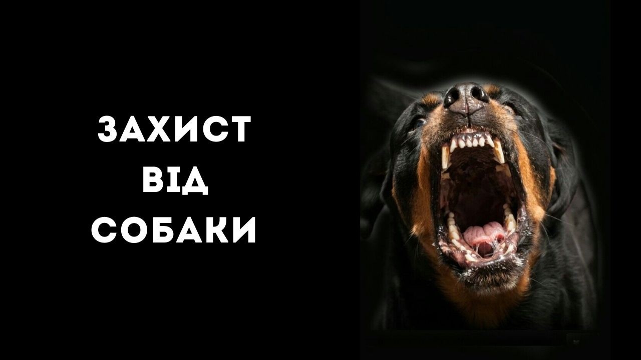 Захист від собаки