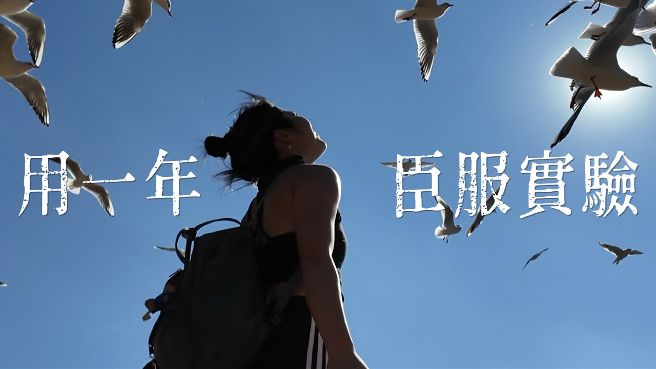 《Surrender》當我不再控制一切，奇跡反而接踵而至| 🦌