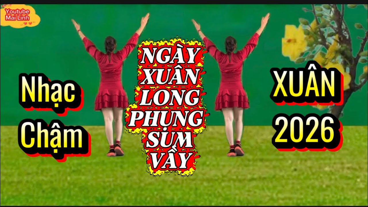 Nhạc Chậm - NGÀY XUÂN LONG PHỤNG SUM VẦY // Shuffle Dance // xem hướng dẫn dưới video👇