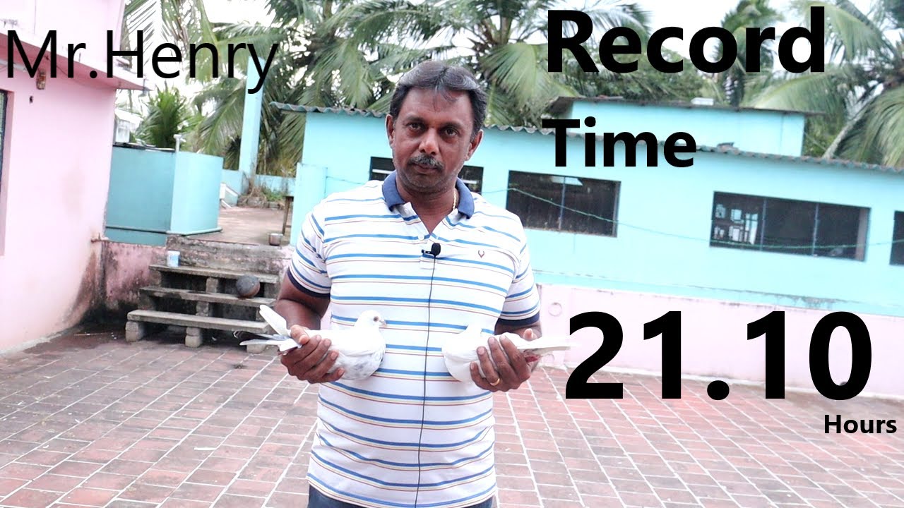 Mr.Henry - Record time - 21.10 hrs