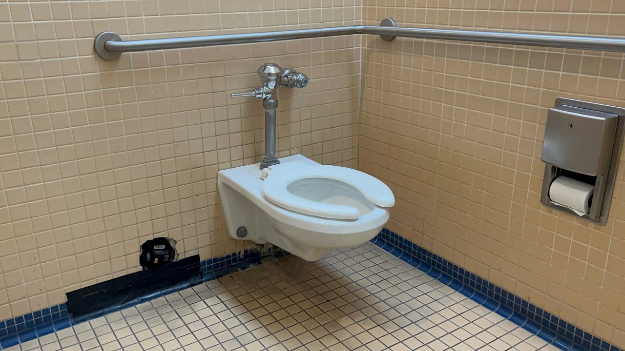American Standard Afwall Toilet Flush | Shops at Paseo, Pasadena, California | Desensitization