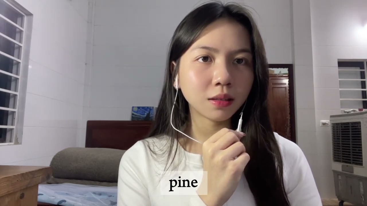 DAMV_01_(LTN) - Nguyễn Thị Diễm Hằng - Mini Project