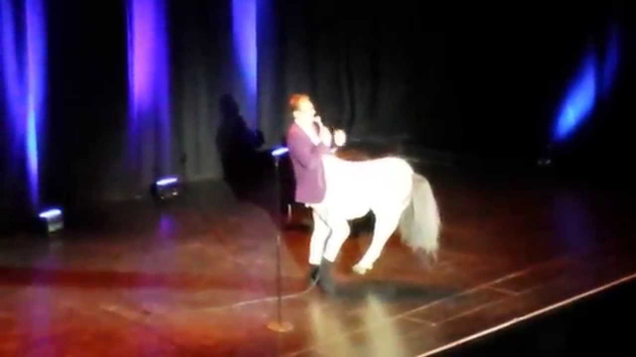 Sean lock in a horse costume(brighton dome)