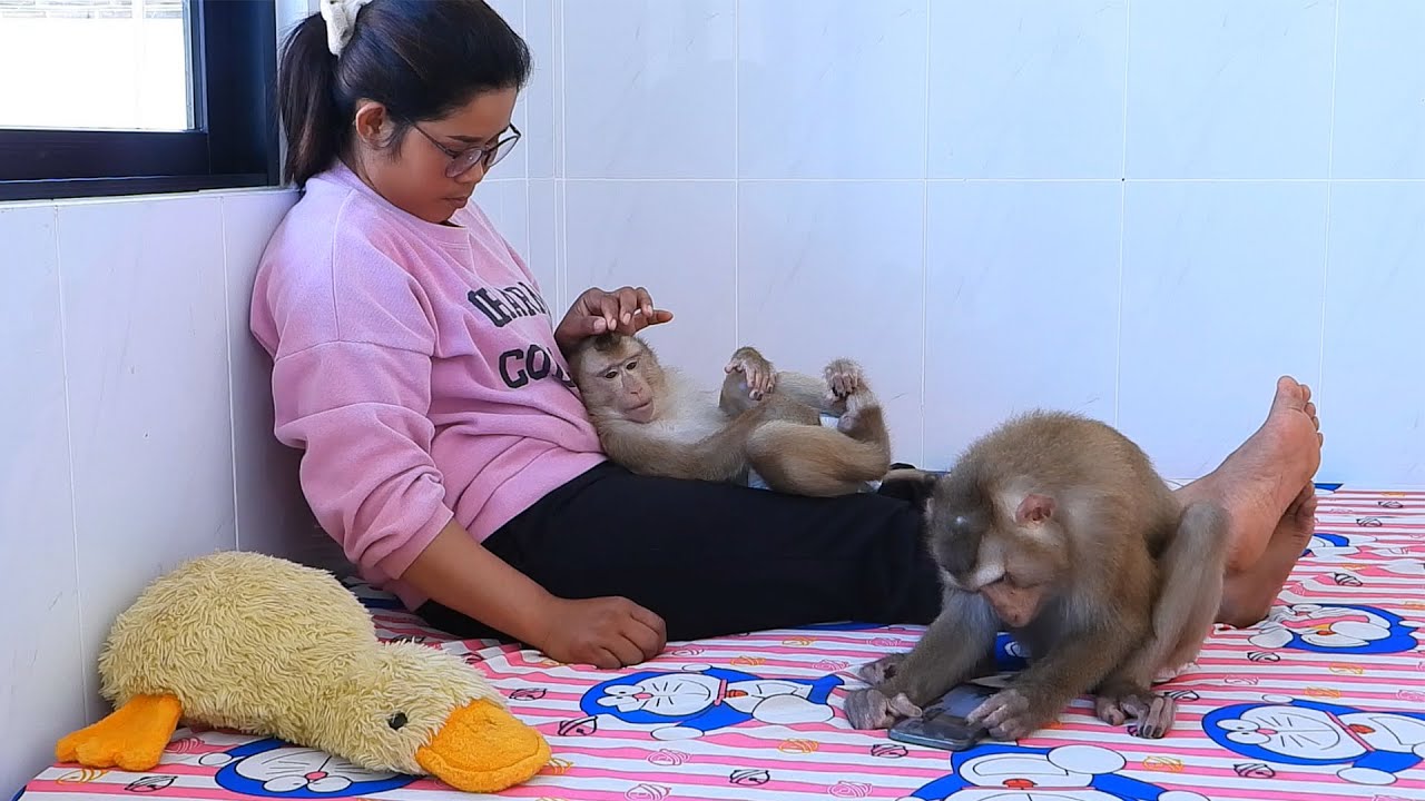Smart Little Kako & Olly Playing Smartphone