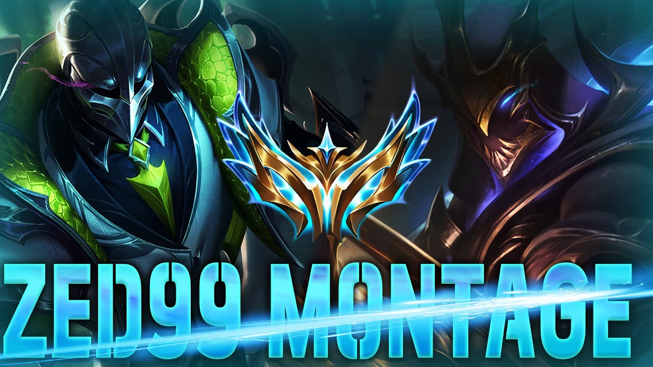 ZED99의 7월 하이라이트!