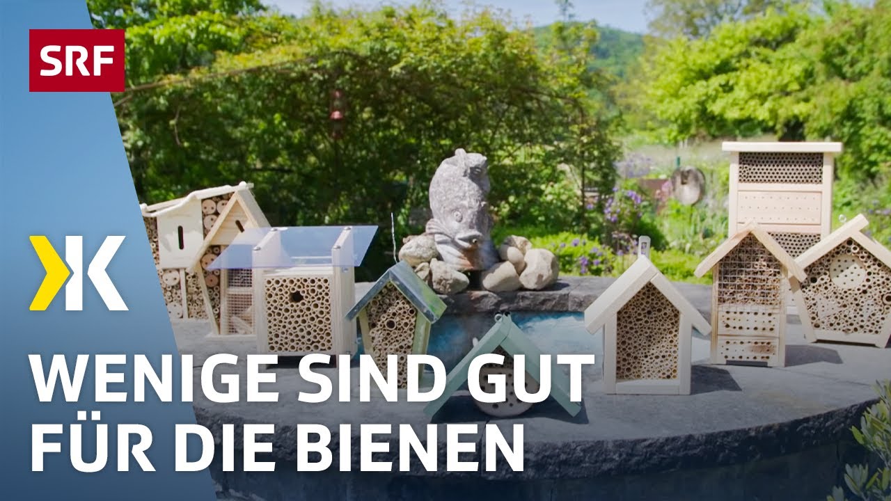 Bienenhotel im Test: Nur wenige sind artgerecht | 2019 | Kassensturz | SRF