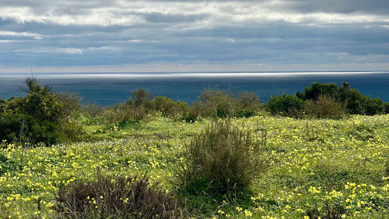 Lagos, Portugal - Coastal Walks