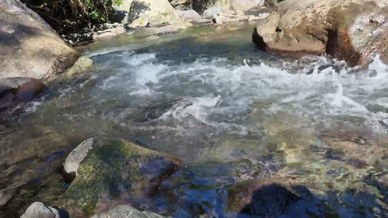 Down by the river. Portland Jamaica 