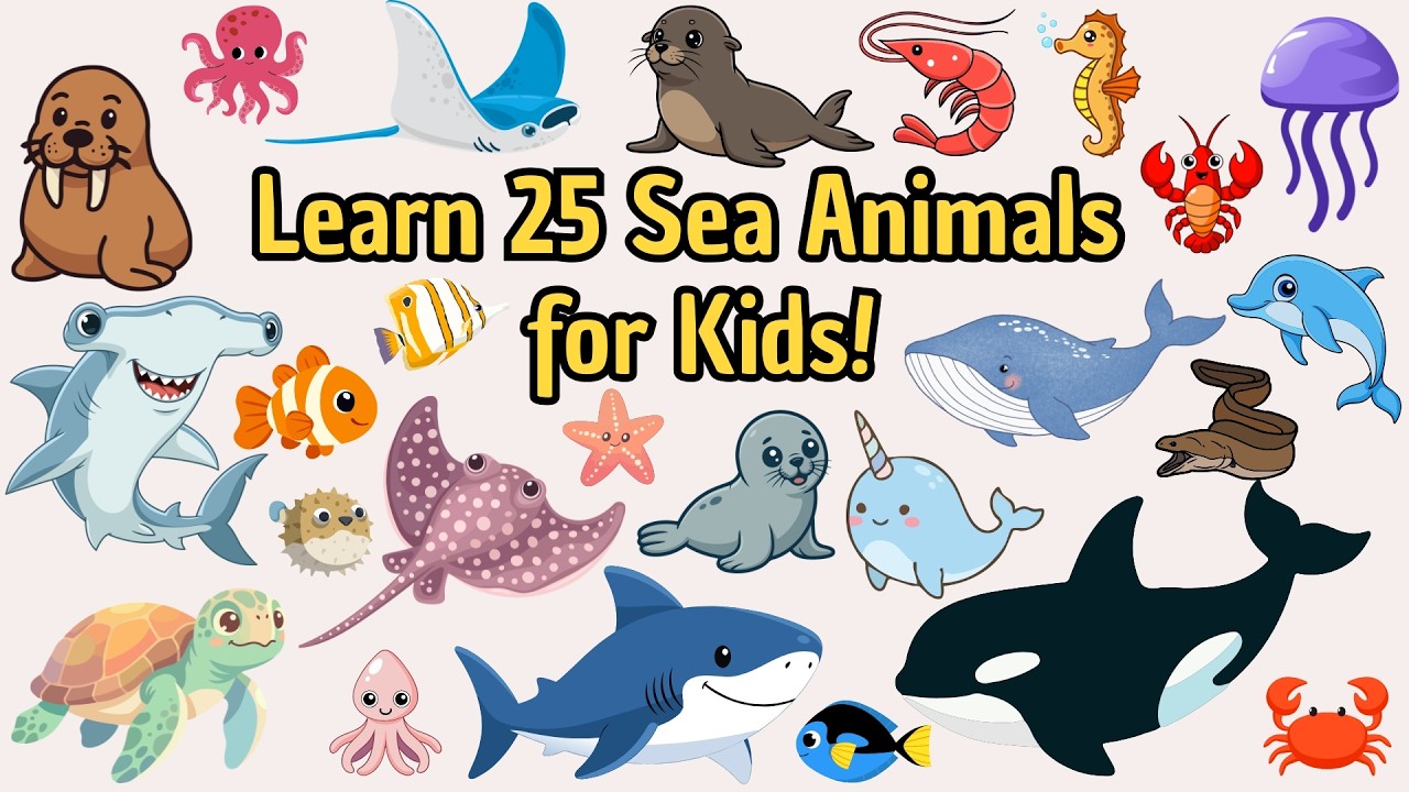 Learn 25 Sea Animals for Kids! 🌊 10+ Minute Underwater Adventure for Toddlers & Preschool