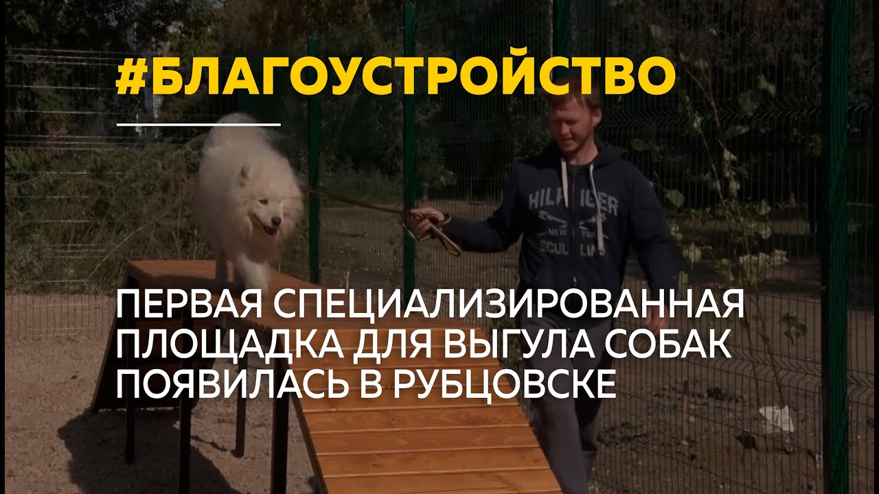 В Рубцовске открыли первую площадку для выгула и дрессировки собак