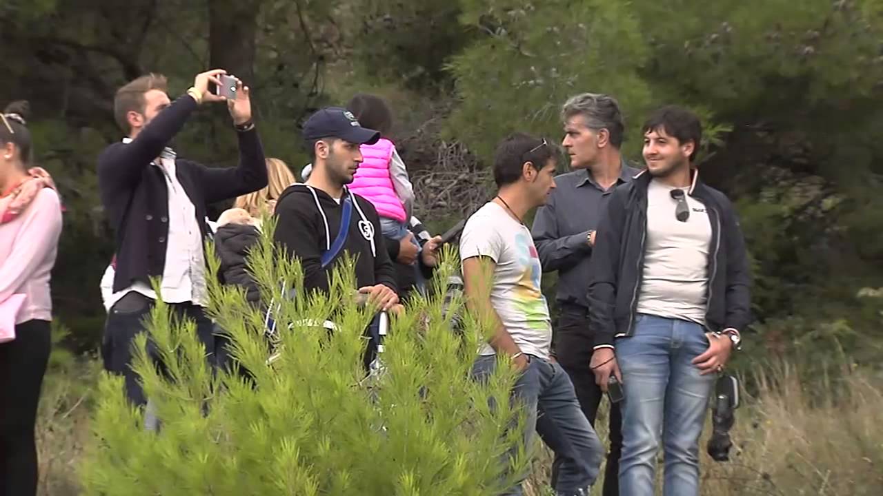 Rally Porta del Gargano 2014