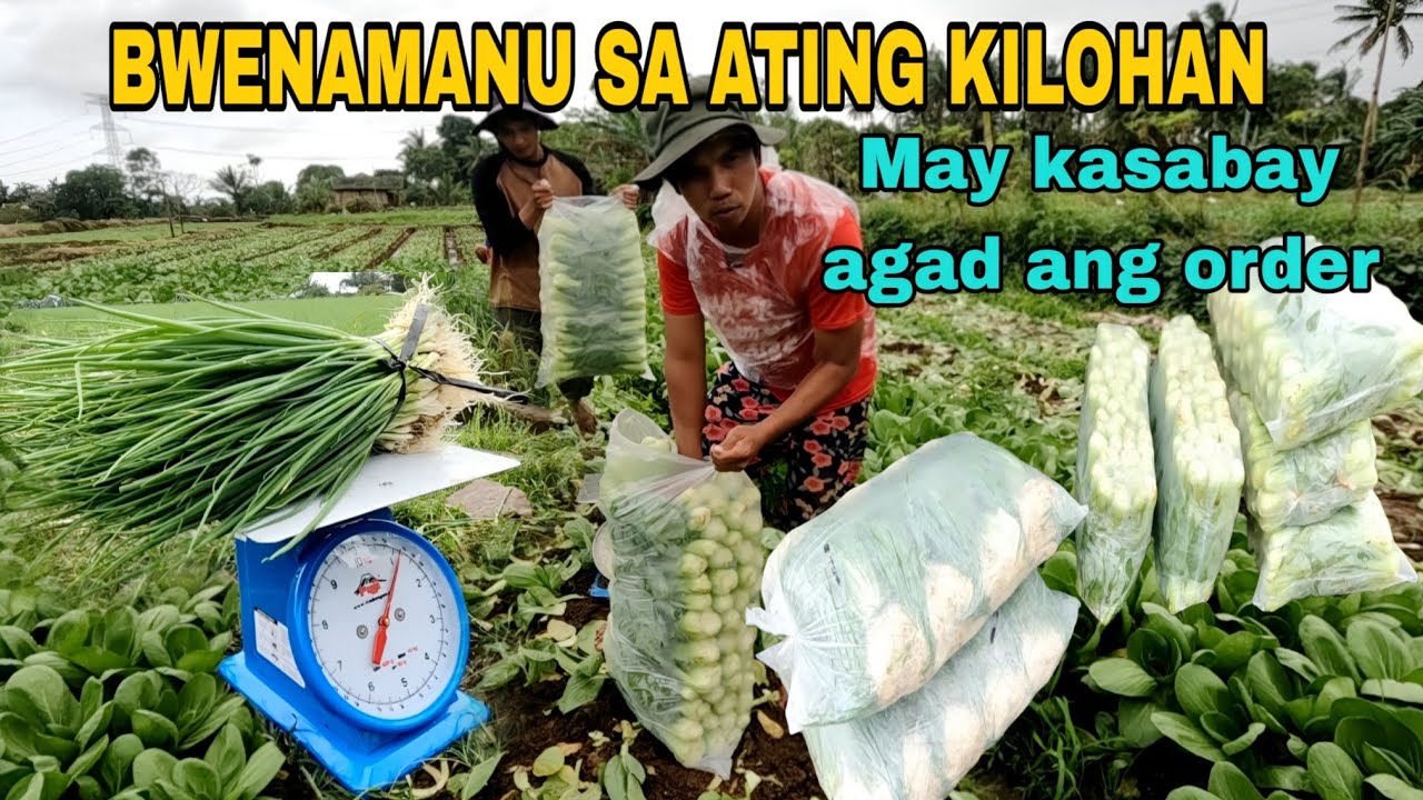BWENAMANU sa bago nating KILOHAN