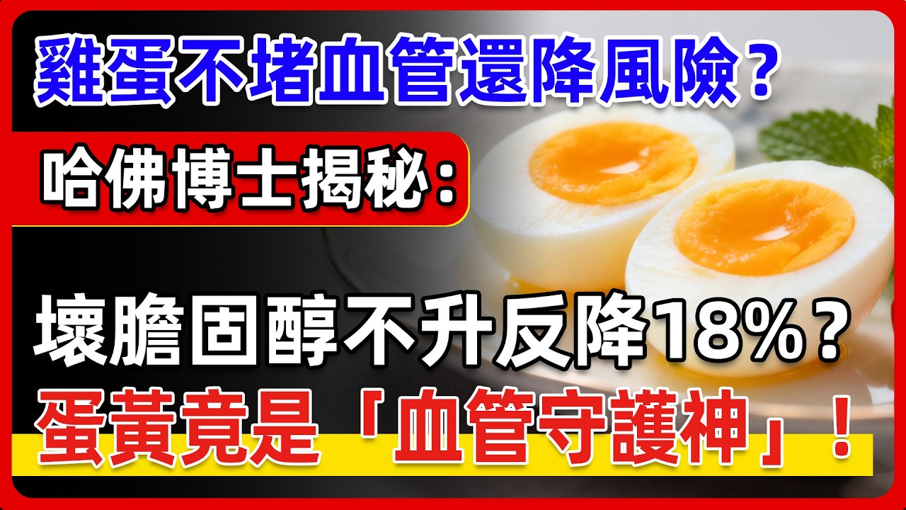 震驚全球！雞蛋不堵血管還降風險？每天一顆水煮蛋，是「營養聖品」還是「高血脂元兇」？哈佛博士30天狂吞720顆雞蛋揭開真相。