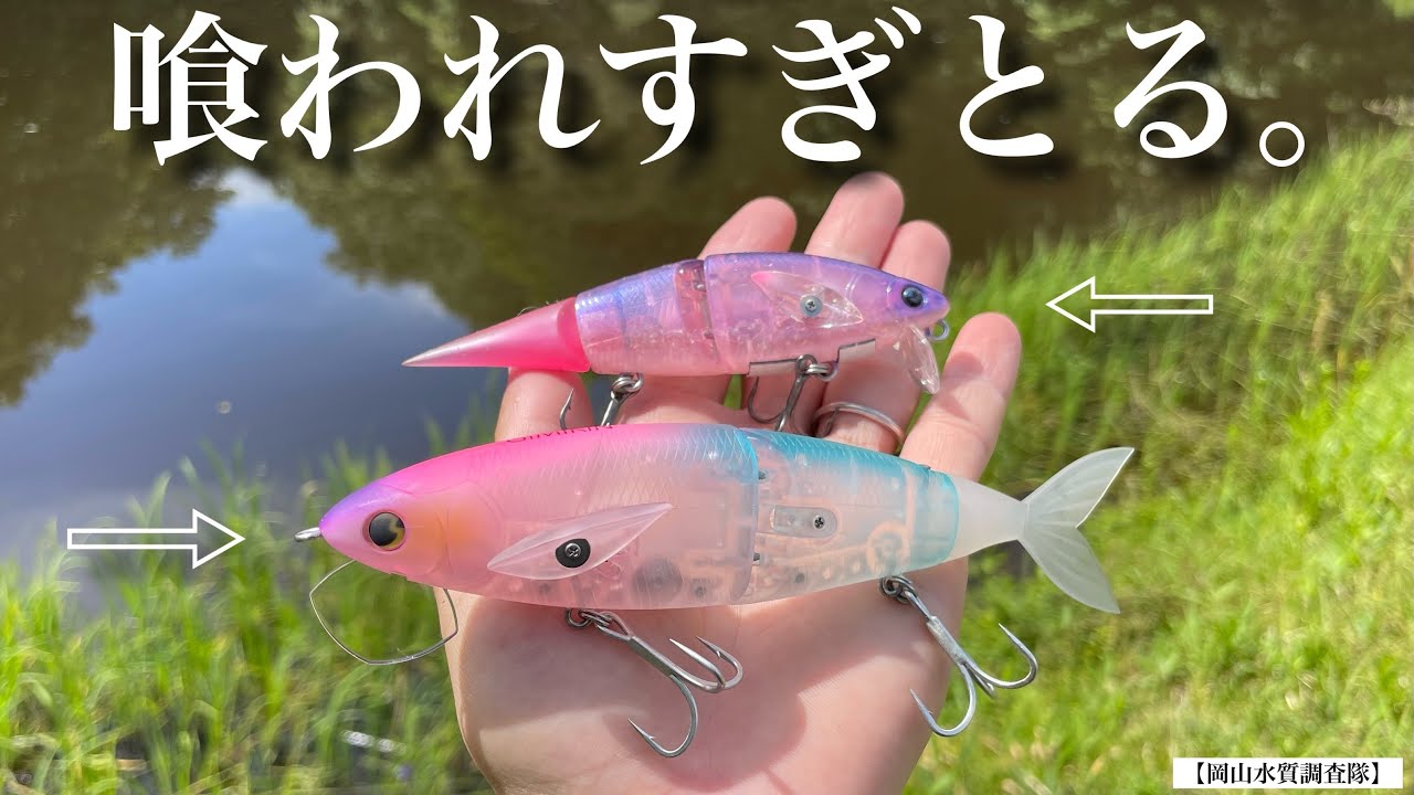 【バス釣り】今デカバスからエグいほど喰われまくっている釣りがあります。1番釣れる動かし方のキモは、『〇〇〇〇』でした。　マドタチ　ハニタスLR  ギミキン　ビッグベイト　ジョイントベイト