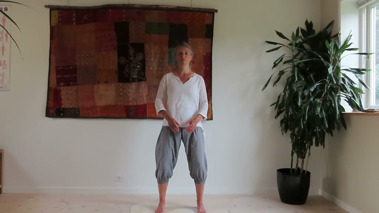 Qi gong basisøvelser