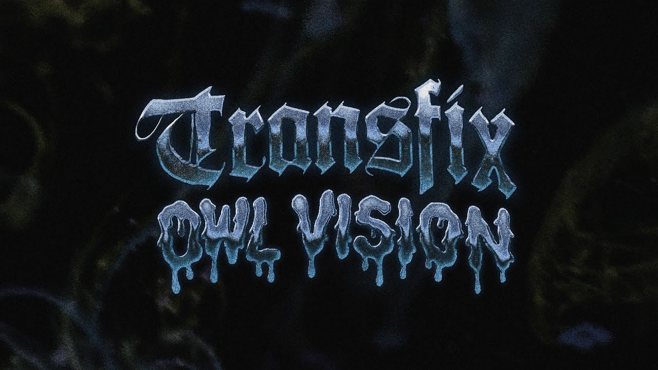 Owl Vision - Transfix