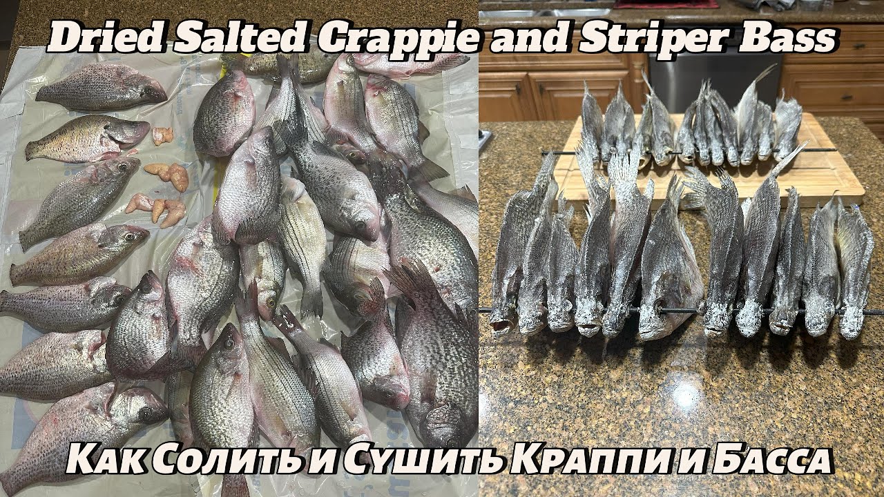 Как Солить и Сушить Краппи и Басса. Dry Salted Crappies & Bass.