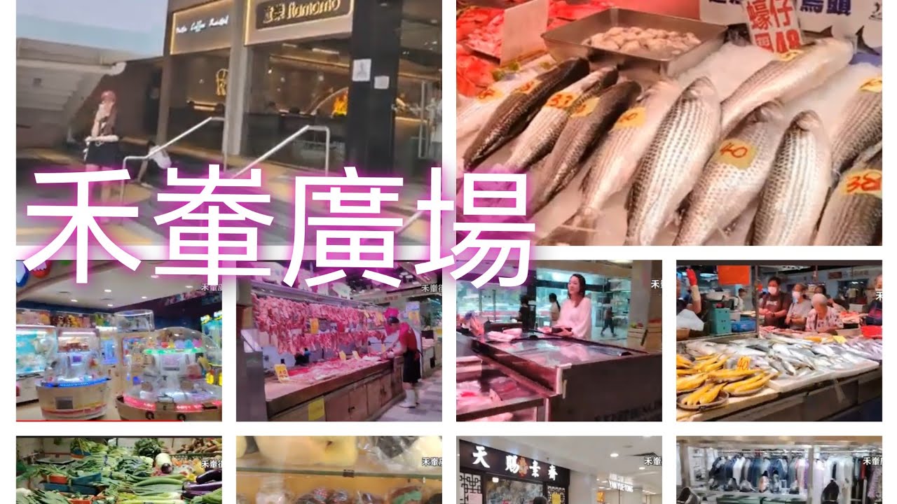 志華遊帶你行商場 09-2024 ＃禾輋商場 ＃禾輋街市 ＃街拍 ＃香港任我行