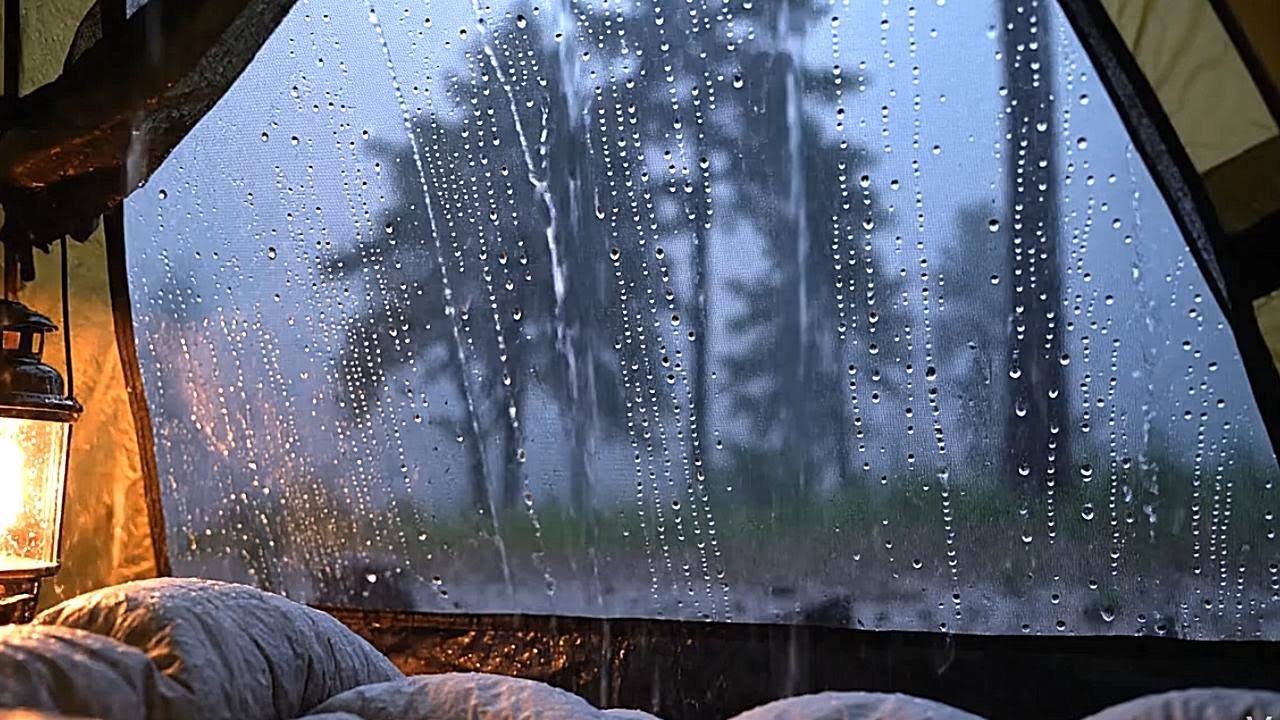 Rain Sounds in a Tent for Deep Sleep | Camping Ambience
