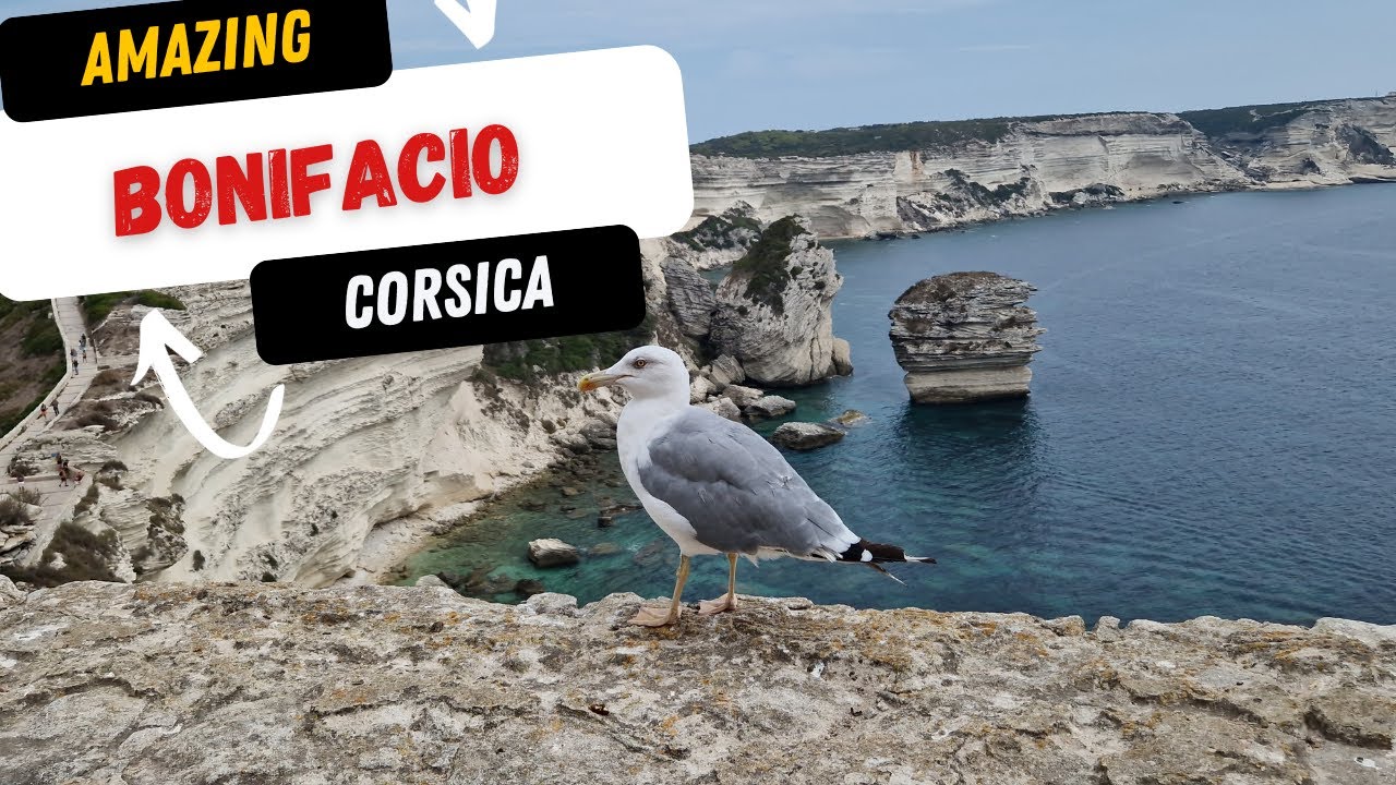 Discovering Beauty in Bonifacio, France