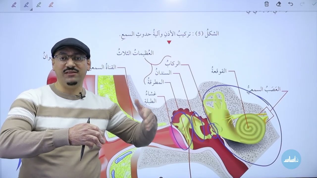 علوم الثامن 🧡 الضبط والتنظيم || أعضاء الحس 👌 أ. #مهند_القرم