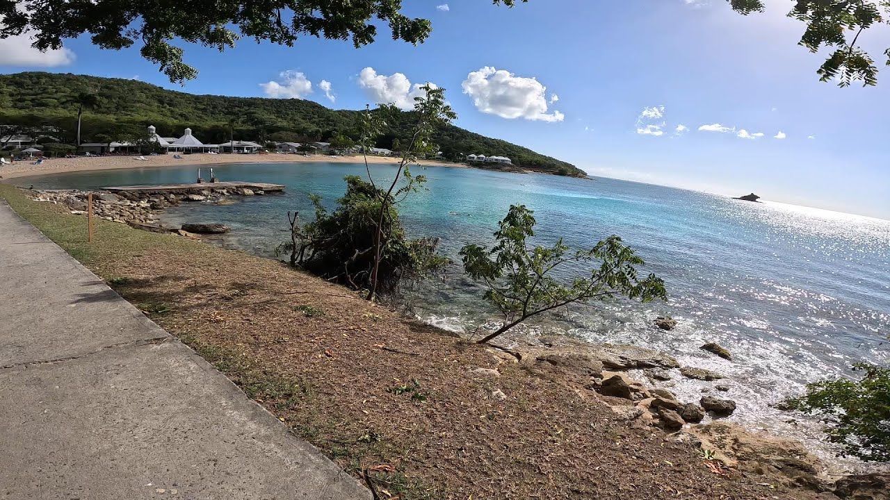 Hawksbill by rex resort Antigua Snorkeling and swimming