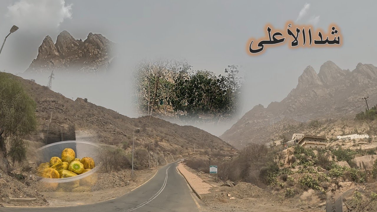شدا الأعلى