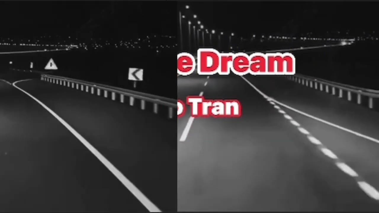 The Same Dream (Soo Tran)