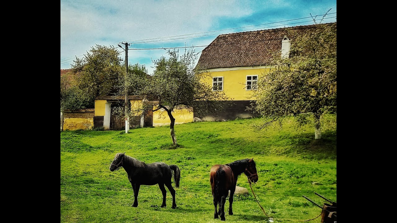 In Mesendorf (Transylvania, Romania) there is a wonderful little church.