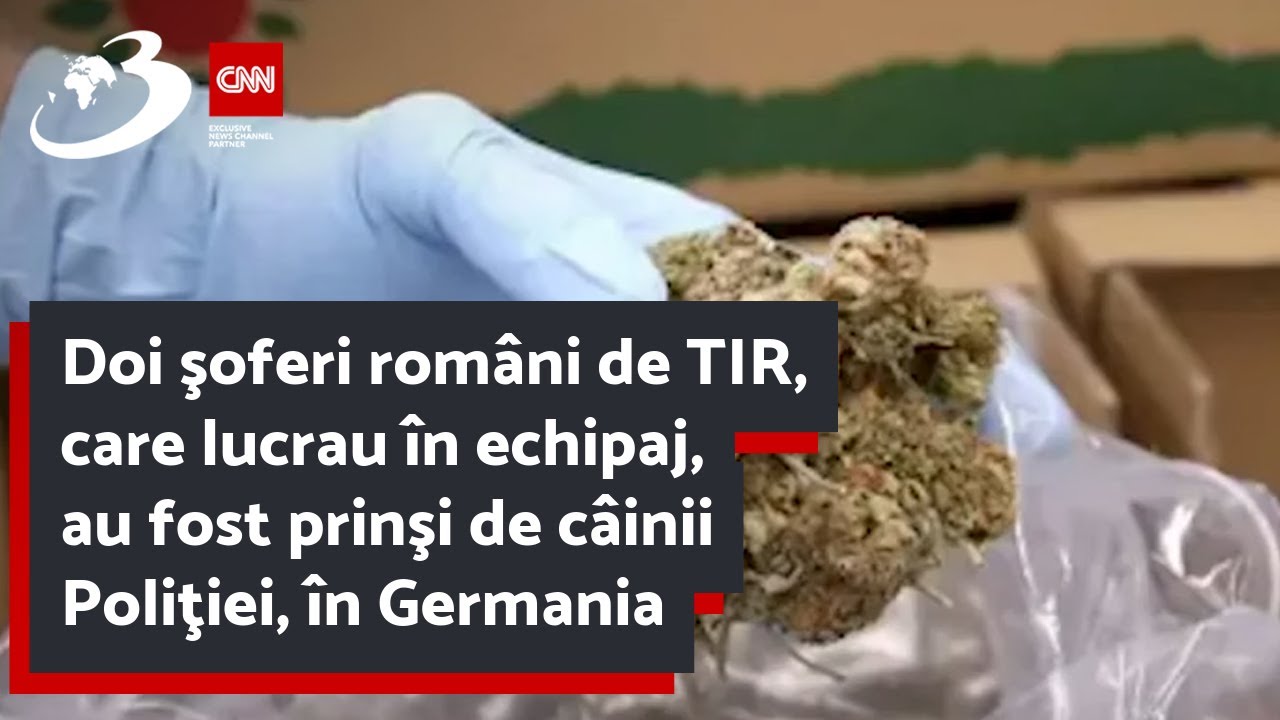 Doi şoferi rom&acirc;ni de TIR, care lucrau &icirc;n echipaj, au fost prinşi de c&acirc;inii Poliţiei, &icirc;n Germania