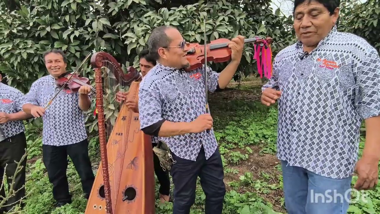 Eleodoro Espinoza violín y Romántico Raimondino tema tucusito 