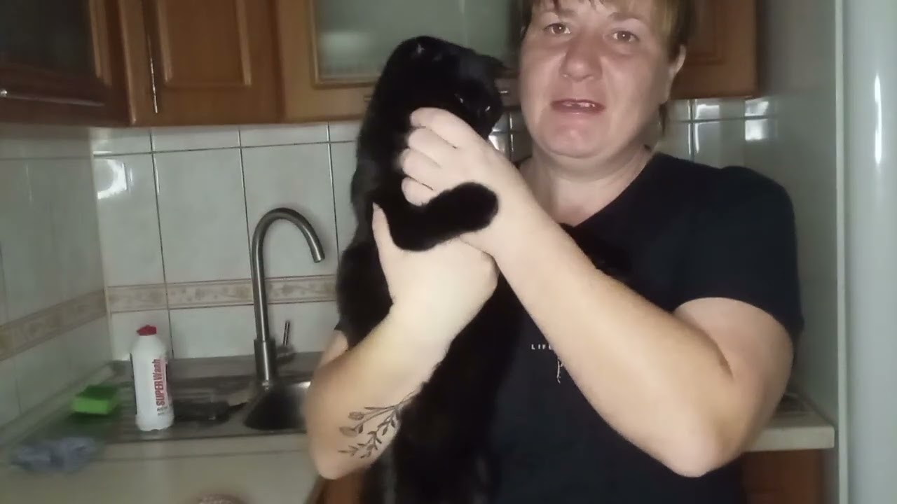 Вечер перед  работой 😊