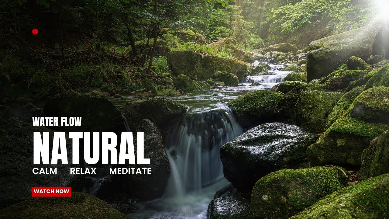 Magical Forest Atmosphere, Flowing Water, Forest Sounds, Soothing ASMR
