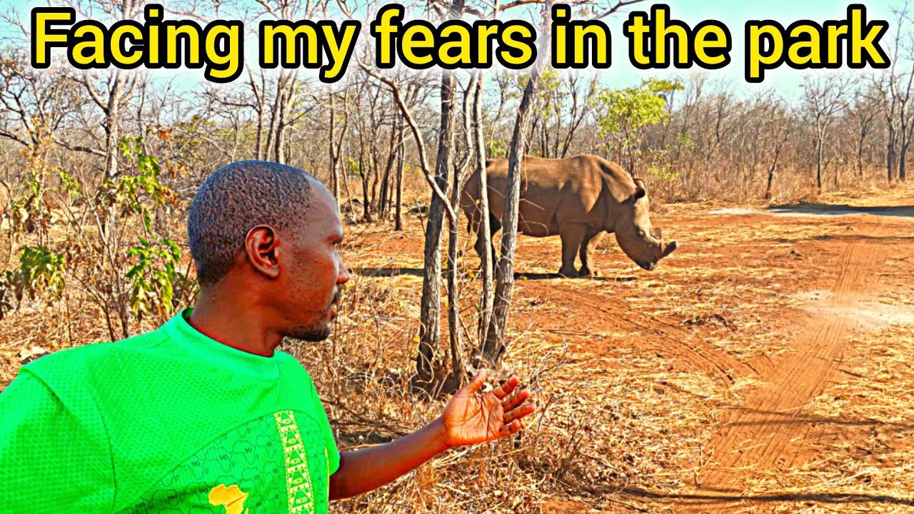 The Lusaka National park is Zambia's smallest Park located in the outskirts of Lusaka 