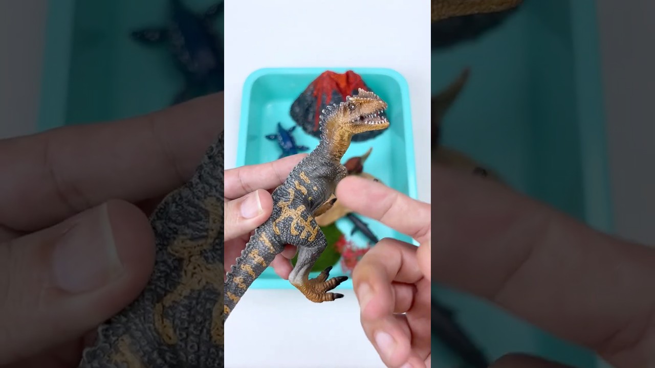 Miniature Sea Animal Toys Diorama and where is Triceratops head? | ASMR Toy Video #asmrvideo