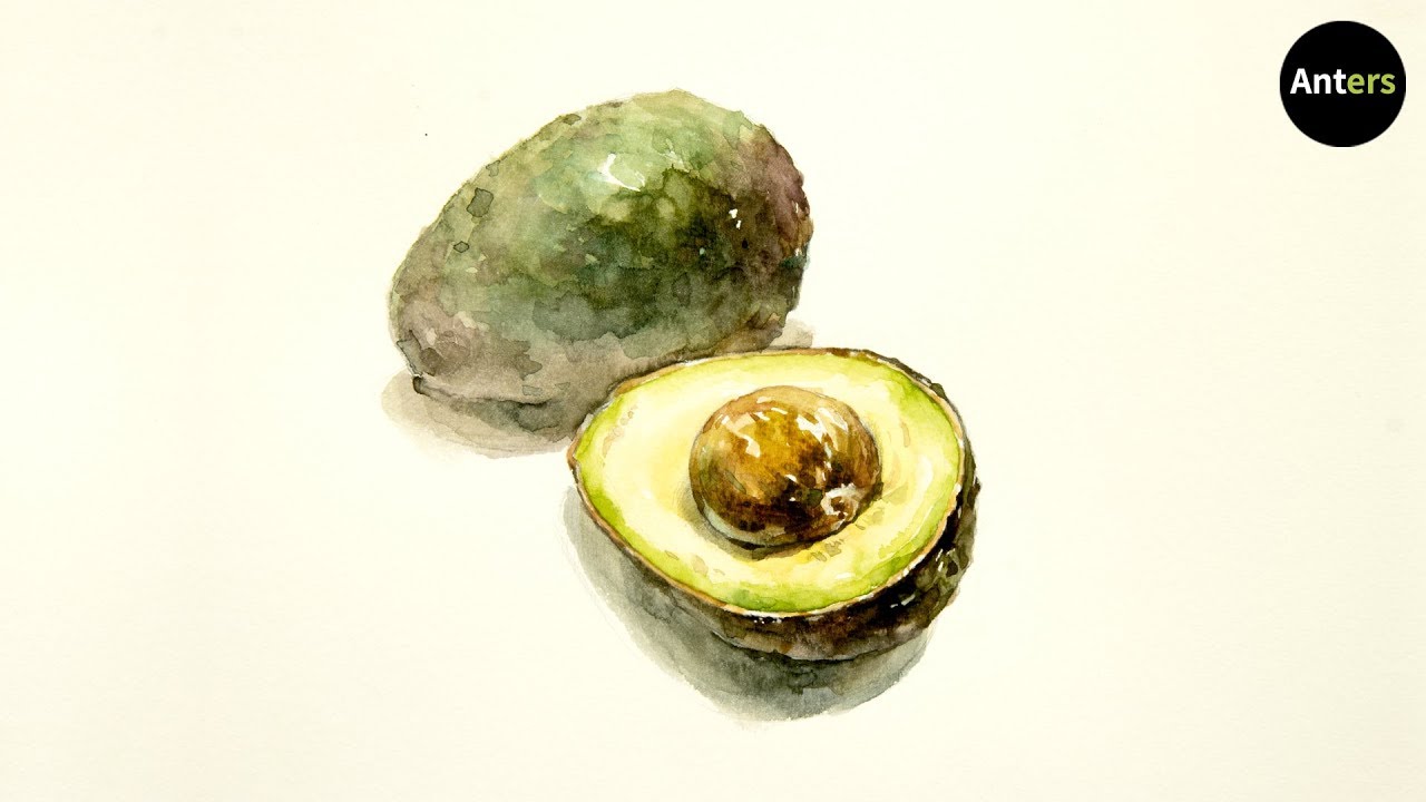How to draw avocado in watercolor