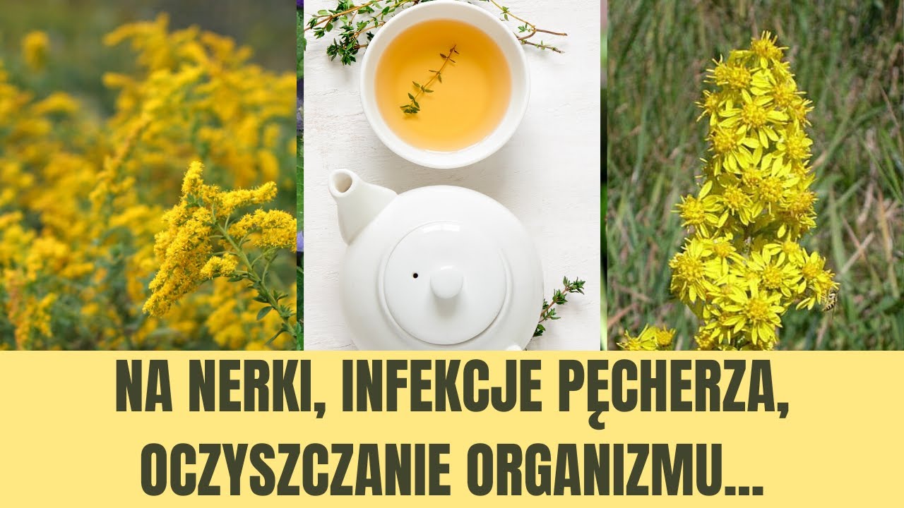 NAWŁOĆ właściwości zdrowotne + przepisy, mieszanki
