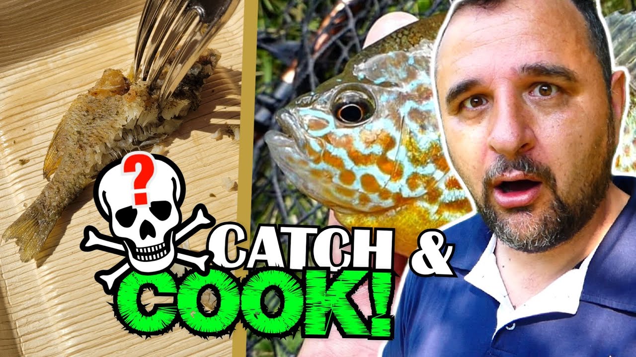 Sonnenbarsch Catch & Cook! SCHMECKT DAS?? 😳☠️ Angeln und grillen mit Klaus grillt!