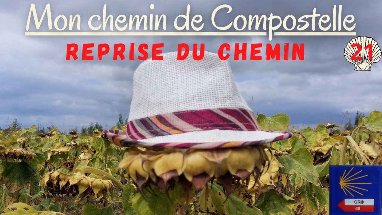 Mon Chemin de Compostelle - GR65 - Voie Podiensis du Puy-en Velay à St -Jean-Pied-de-Port