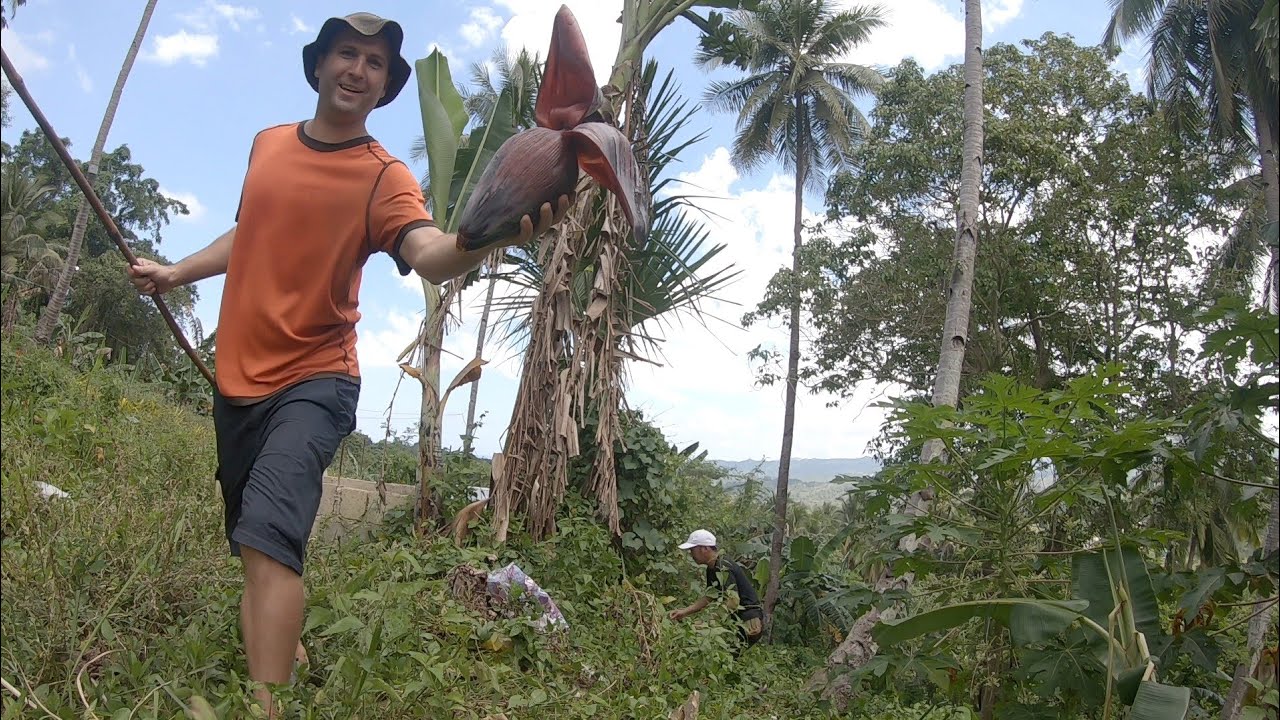 Cooking Kinilaw - Banana Blossom With Coconut Milk - Province Life Philippines