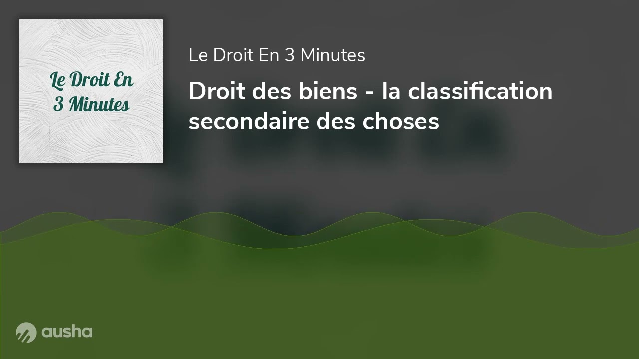 Droit des biens - la classification secondaire des choses