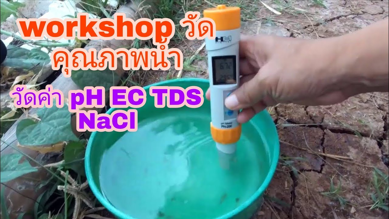 LP-EP92 workshop วัดคุณภาพน้ำ ค่า pH EC TDS NaCl น้ำบาดาล คุณภาพน้ำที่เหมาะกับการปลูกทุเรียน