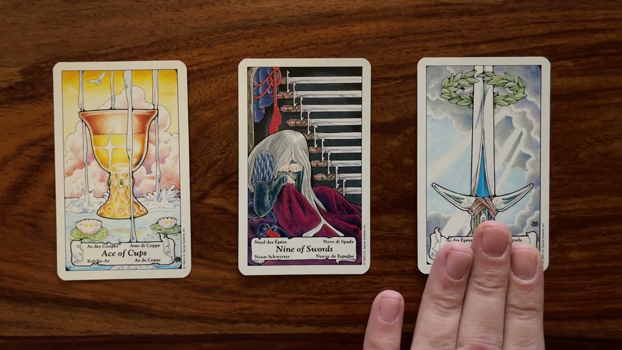 The universe delivers! 16 December 2022 Your Daily Tarot Reading with Gregory Scott