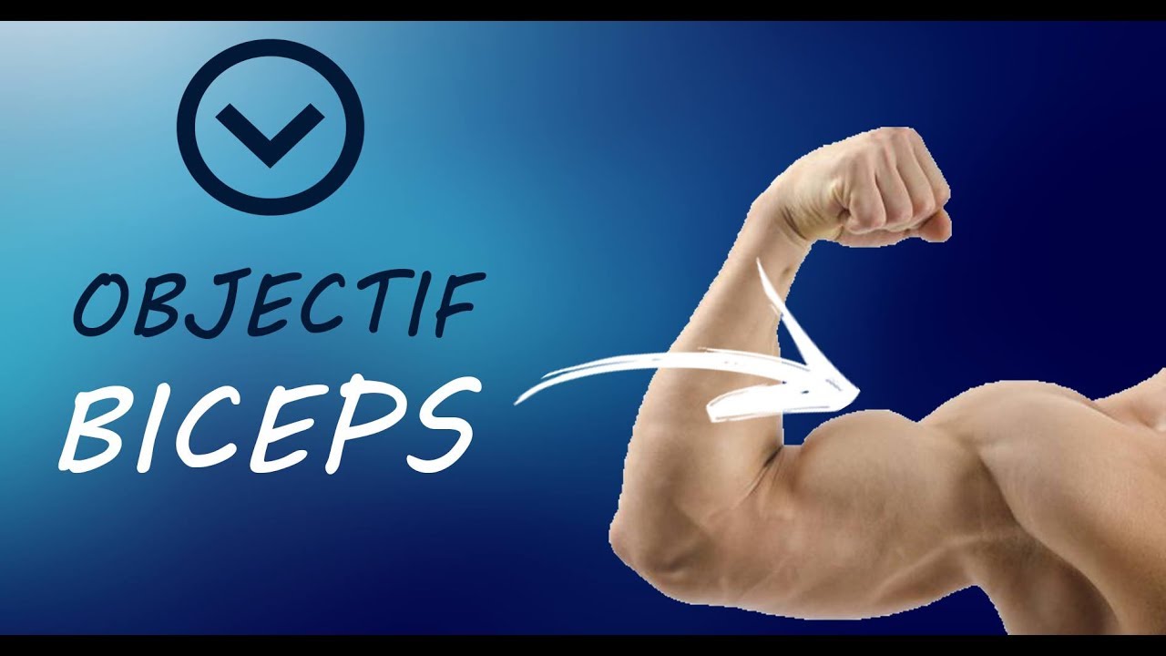 COMMENT TRAVAILLER SES BRAS [ SANS MATERIEL ]