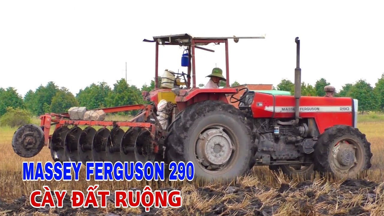 Máy Cày MF 290 Hai Cầu Cày Đất Ruộng Trồng Mì, Chủ Xe Chạy Rất Kỹ ở Phước Ninh, Thiện Vũ TV