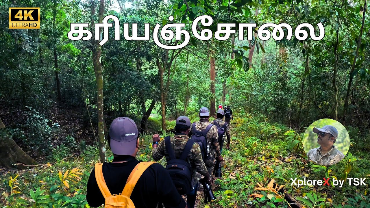 Topslip to Pandaravarai Deep Forest Trek | Parambikulam Tent Stay | Karian Shola